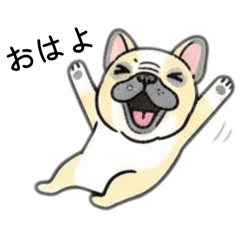 Daily Life with Frenchie! (Casual & Cute