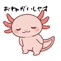 Cute little axolotl!
