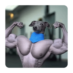 Sasuke_20260111212313