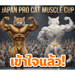 AI Cat Daily Life | Cute Funny thai