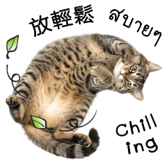 Everyday Cat #3: TCN - TH - EN Greeting