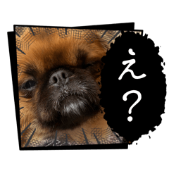 mochi_20260111215250