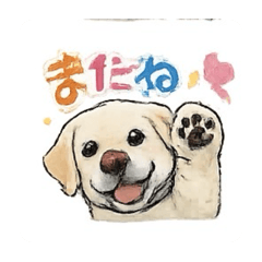 Yuzu-Riku_20260111204418