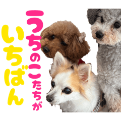 Osugi_20260111225047