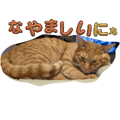 KINAKO_20260111205931