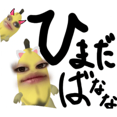 setsuko_20260111233925