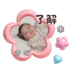 Kinako_20260112094446