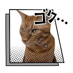 c_20260112100716