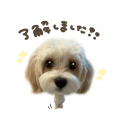 おこげくん☆mix