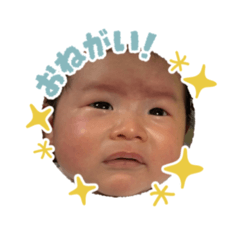 yakan_20260112001648