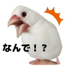 natsuki_20260112001647