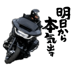 MASA_2026