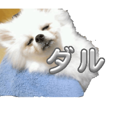 uchinoko_20260110201748