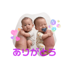 Momo_20260111231814