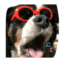 kikyou_20260111232428