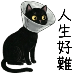 黑貓的人生哲學