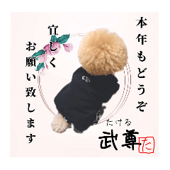 Zakiwo_20260112082342