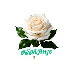 naya_202601120929nn5121