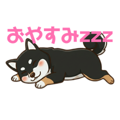 tetsuo_20260112132329