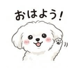 Momo_20260112134241