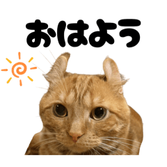 NANAMI_20260112133911