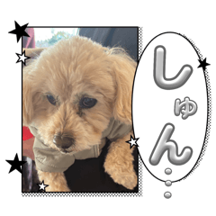 sutanpuuuuuuuuuuuunano