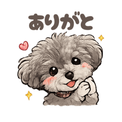 muukoji_20260110225147