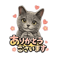 Tomomi_20260111000729