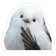 Realistic Long-tailed Tit Life