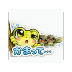 Wait a Sec! Peek Frog & Tadpoles