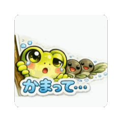 Wait a Sec! Peek Frog & Tadpoles