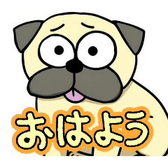 aoi0315_20260111092147