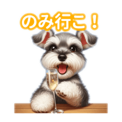 Simply Adorable Miniature Schnauzer