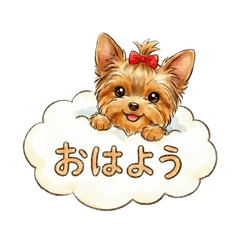 Gentle Yorkie: Daily Life