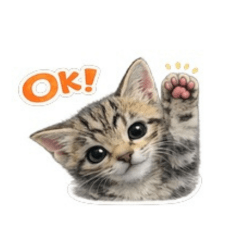 ぽこの日常で使えるスタンプ