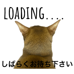 nozomi_20260111122418