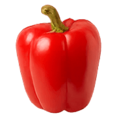 THE VEGETABLES (Realistic)