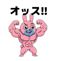 Bearded Muscle Bunny