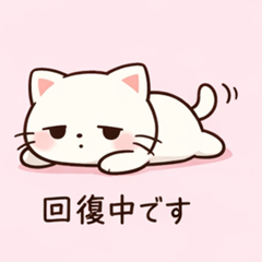 The Cat on Slow Days