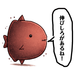 yaona_20260111173307