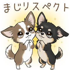 ちびチワワの仲良しトーク♡使いやすい定番