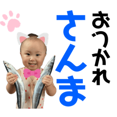 Ka_20260111190350