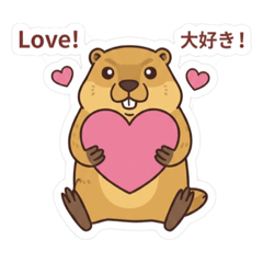 masahiko_20260111195902
