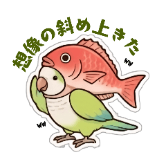 KIKORO_20260111201331