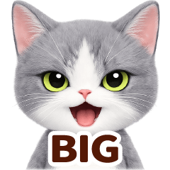 Grumpy Cats Thanks Anyway BIG Stickers