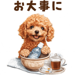 Warm Winter Toy Poodle Sticker [Revised]