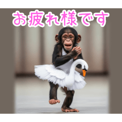 PAKAMOGOLY_20260112073200