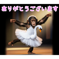 [ありがとうございます専用]スワンチンパン