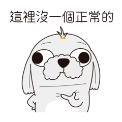 PUGBUG best friend (Maltese)