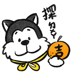 奇奇過新年：馬年篇